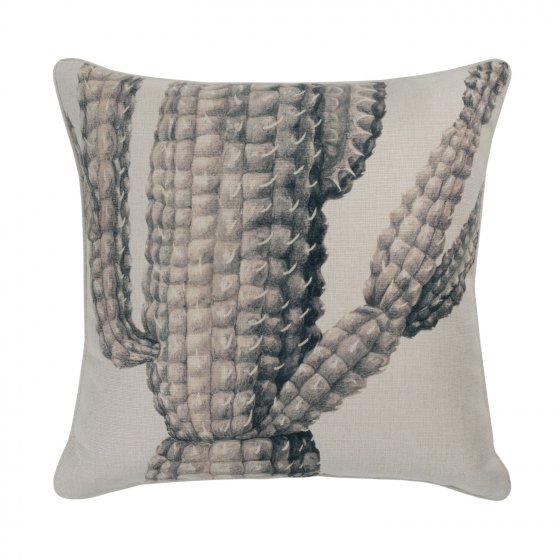 SAGUARO MUD 50CM CU NOM