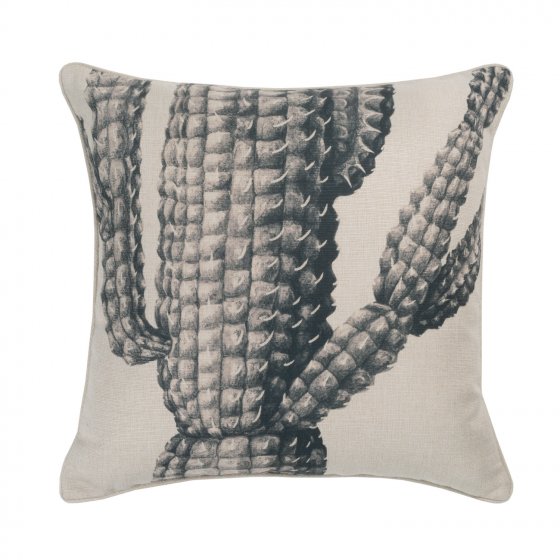 SAGUARO SMOKE 50CM CU NOM