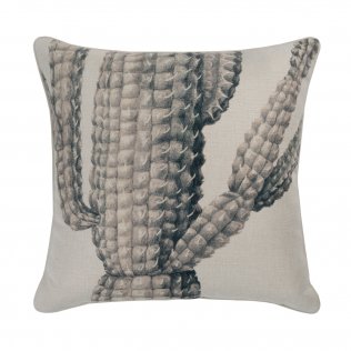 SAGUARO MUD 50CM CU NOM