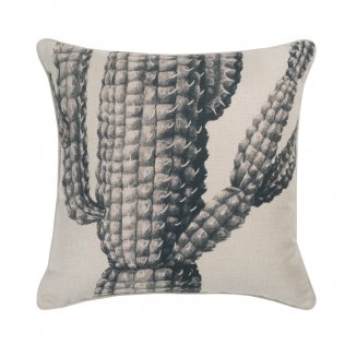 SAGUARO SMOKE 50CM CU NOM
