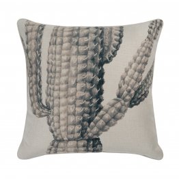 SAGUARO MUD 50CM CU NOM