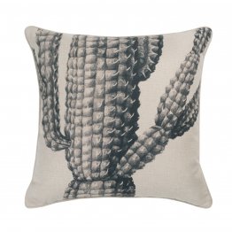 SAGUARO SMOKE 50CM CU NOM